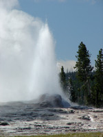 Yellowstone National Park