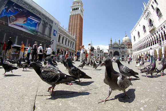 Venice