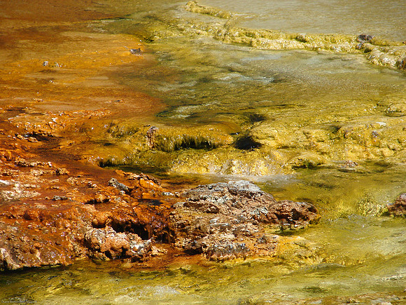Yellowstone National Park