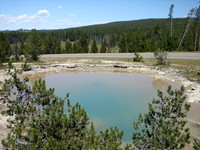 Yellowstone National Park