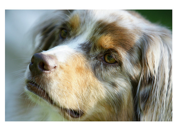 August Portrait