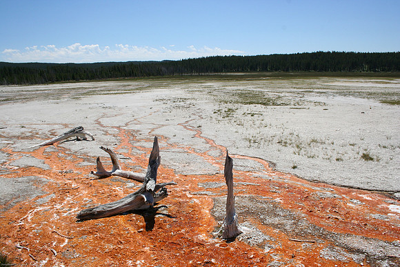 Yellowstone National Park